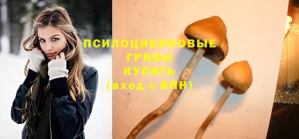 ГАЛЛЮЦИНОГЕННЫЕ ГРИБЫ Алексеевка