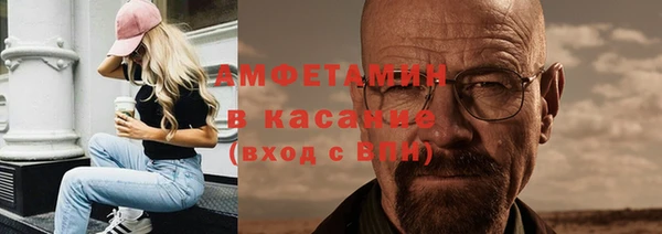 индика Алексин