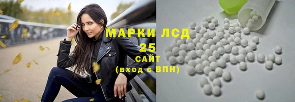 индика Алексин