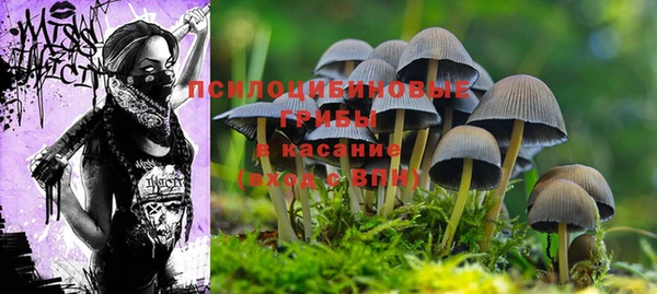 кокаин колумбия Алзамай