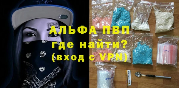 индика Алексин