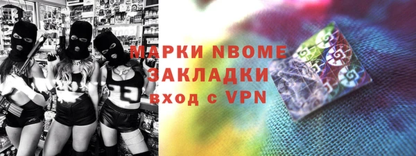 индика Алексин