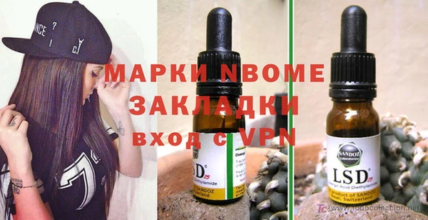 индика Алексин