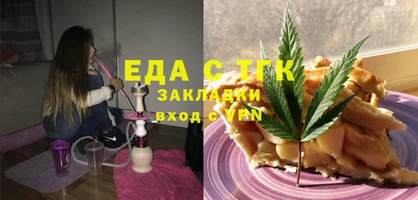 индика Алексин