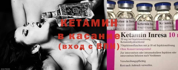 индика Алексин