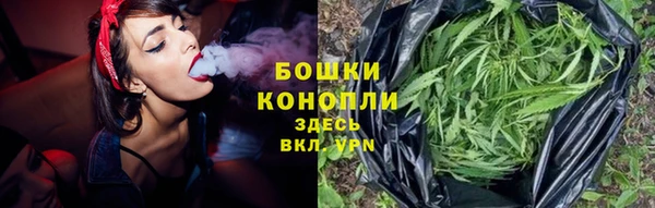 ГАЛЛЮЦИНОГЕННЫЕ ГРИБЫ Алексеевка