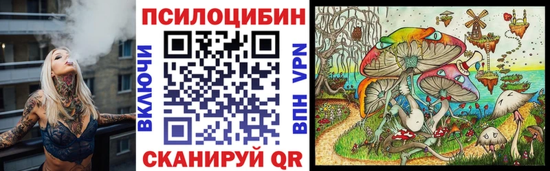 Псилоцибиновые грибы Psilocybe  Нарьян-Мар 
